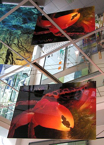 GLAVIVA • ARCHITECTURAL GLASS made in Germany • Exhibition of digital art prints on glass by Glaviva (safety glass and laminated glass) • Effects - Optical illusions - Reflections • The imagination doesn't know any boundaries